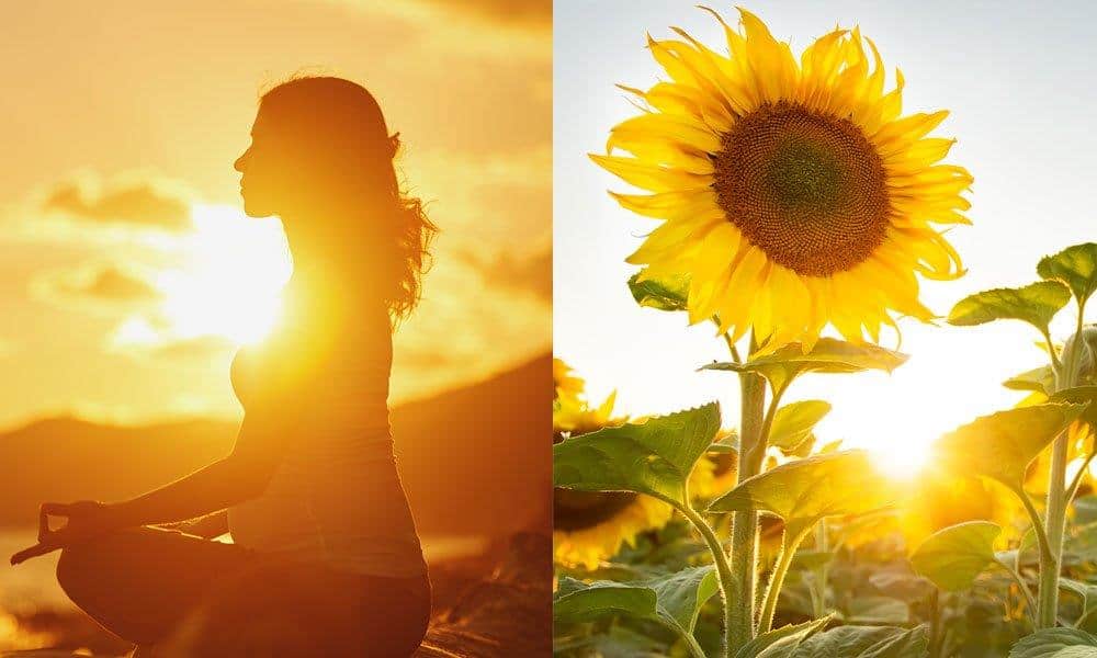 Luz natural artística ile ilgili görsel